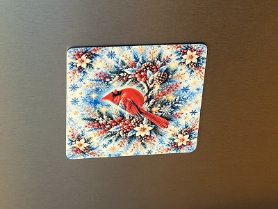 Cardinal Winter Scene 3